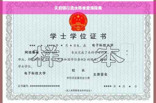 天府银行流水账单查询指南