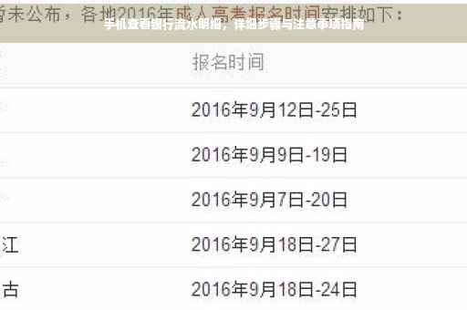 手机查看银行流水明细，详细步骤与注意事项指南