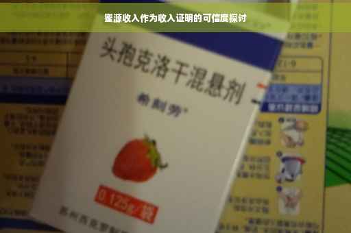 蜜源收入作为收入证明的可信度探讨