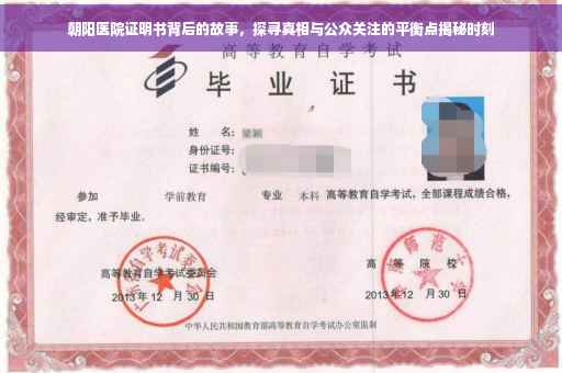 朝阳医院证明书背后的故事，探寻真相与公众关注的平衡点揭秘时刻