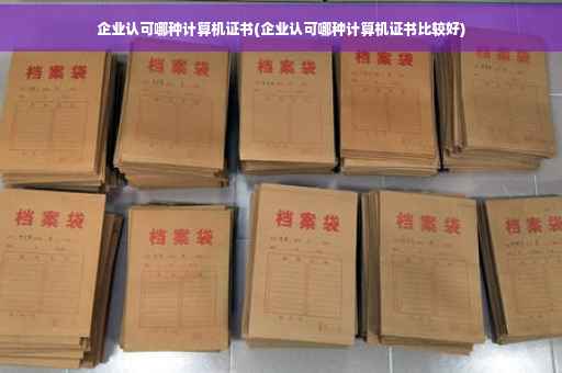 企业认可哪种计算机证书(企业认可哪种计算机证书比较好)