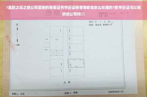 ?离职之后之前公司复制的各类证书学历证明等等都是怎么处理的?假学历证可以提供给公司吗⚡️