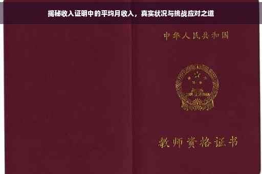 揭秘收入证明中的平均月收入，真实状况与挑战应对之道