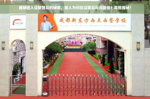 揭秘收入证明背后的秘密，收入为何在证明后反而降低？真相揭秘！