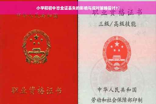 小学和初中毕业证丢失的影响与应对策略探讨?✨