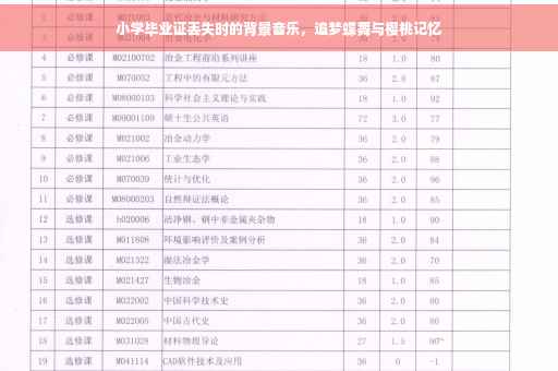 小学毕业证丢失时的背景音乐，追梦蝶舞与樱桃记忆