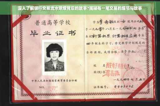 深入了解银行交易流水明细背后的故事?揭秘每一笔交易的细节与故事