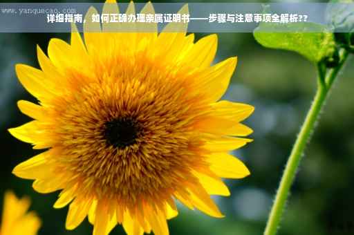 详细指南，如何正确办理亲属证明书——步骤与注意事项全解析??