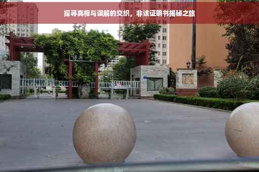 探寻真相与误解的交织，非该证明书揭秘之旅