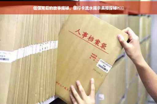 低保背后的故事揭秘，银行卡流水揭示真相探秘?⚡️