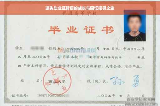 遗失毕业证背后的成长与回忆探寻之旅