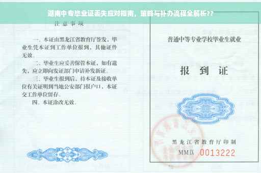 湖南中专毕业证丢失应对指南，策略与补办流程全解析??