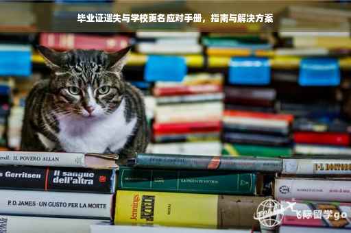 毕业证遗失与学校更名应对手册，指南与解决方案