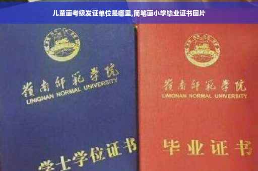 儿童画考级发证单位是哪里,简笔画小学毕业证书图片