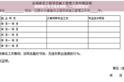 揭秘银行电子流水真相，一文深度解读！