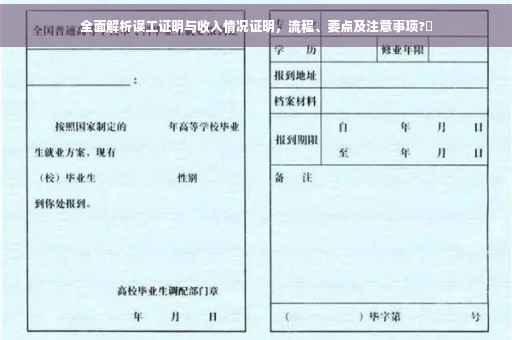 全面解析误工证明与收入情况证明，流程、要点及注意事项?✨