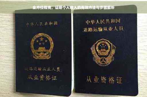 全方位指南，证明个人收入的有效方法与步骤解析