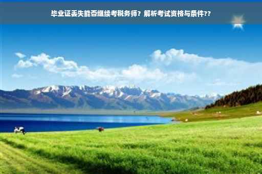 毕业证丢失能否继续考税务师？解析考试资格与条件??
