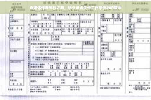 自媒体作者维权之路,毕业证丢失于工作单位后的故事 自媒体作者维权之路,毕业证丢失于工作单位后的故事