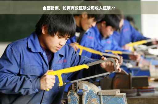全面指南，如何有效证明公司收入证明??