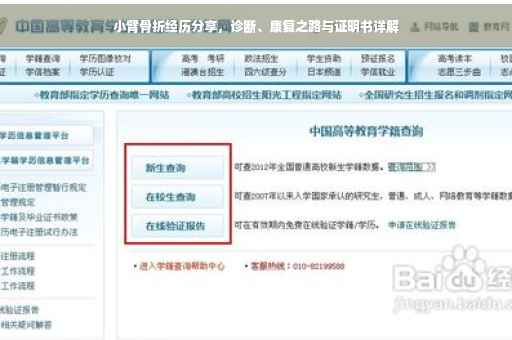 小臂骨折经历分享，诊断、康复之路与证明书详解