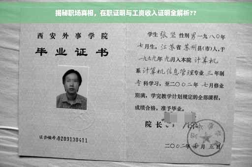 揭秘职场真相，在职证明与工资收入证明全解析??