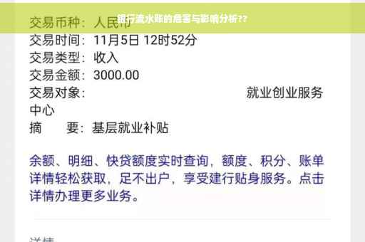 银行流水账的危害与影响分析??