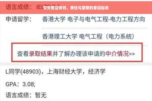 交党费证明书，责任与荣誉的象征标志