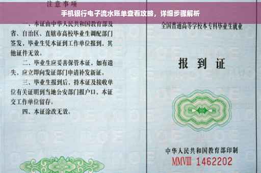 手机银行电子流水账单查看攻略，详细步骤解析