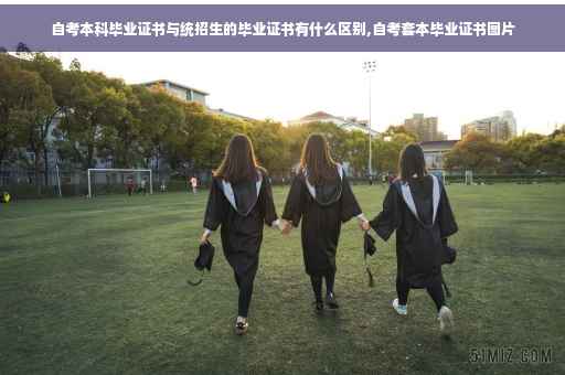 自考本科毕业证书与统招生的毕业证书有什么区别,自考套本毕业证书图片