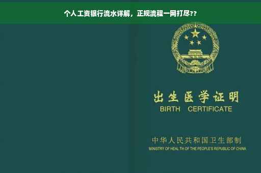 个人工资银行流水详解，正规流程一网打尽??