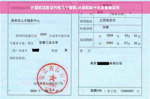 计算机技能证书有几个等级,计算机类十大含金量证书