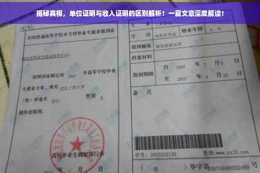 揭秘真相，单位证明与收入证明的区别解析！一篇文章深度解读！