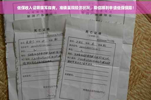 低保收入证明撰写指南，准确呈现经济状况，助你顺利申请低保保障！
