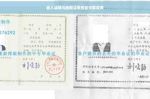 收入证明与纳税证明模板详解指南