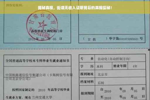 揭秘真相，街道无收入证明背后的真相探秘！