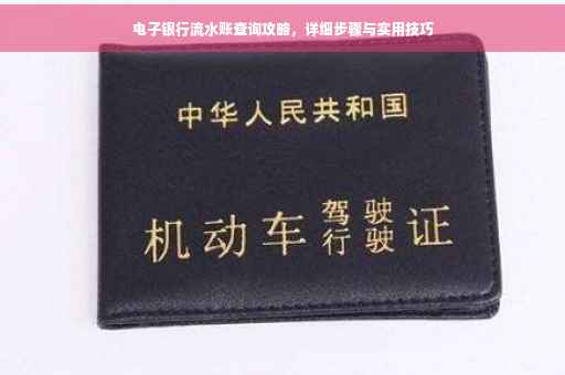 电子银行流水账查询攻略，详细步骤与实用技巧