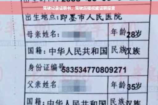 驾驶记录证明书，驾驶历程权威证明探索