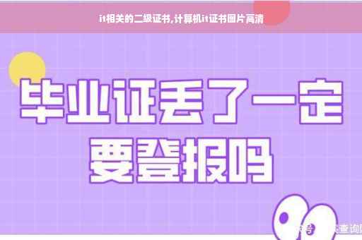 it相关的二级证书,计算机it证书图片高清