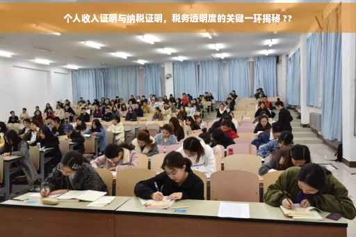 个人收入证明与纳税证明，税务透明度的关键一环揭秘 ??