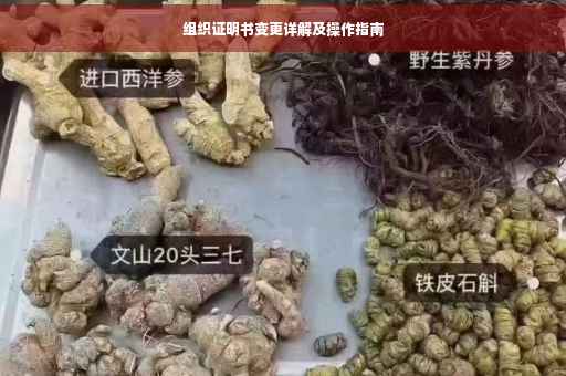 组织证明书变更详解及操作指南