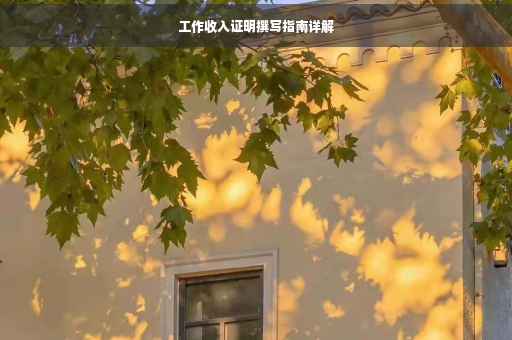 工作收入证明撰写指南详解