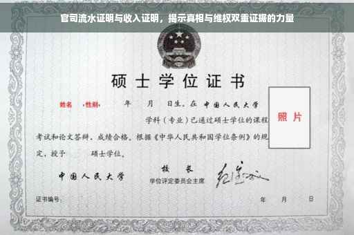 官司流水证明与收入证明，揭示真相与维权双重证据的力量