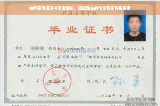 兰博基尼证明书深度解析，超级跑车的传奇背后真相探索