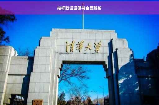 抽样取证证明书全面解析