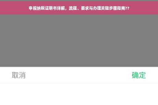 申报纳税证明书详解，流程、要求与办理关键步骤指南??