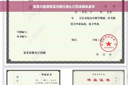 加拿大旅游签证与银行流水打印攻略全解析
