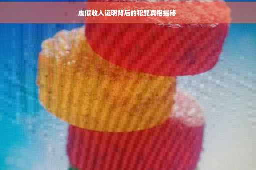 虚假收入证明背后的犯罪真相揭秘