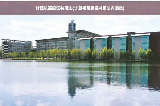 计算机高级证书用法(计算机高级证书用法有哪些)