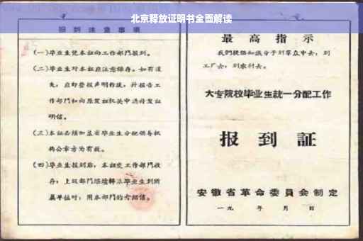 北京释放证明书全面解读
